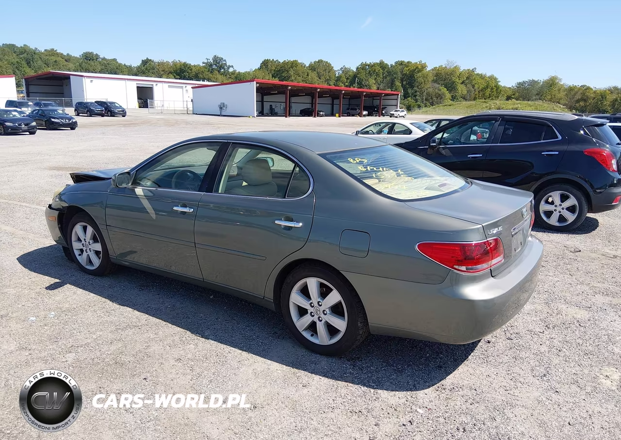 2005 Lexus Es 330 VIN:JTHBA30G355113454 - 3