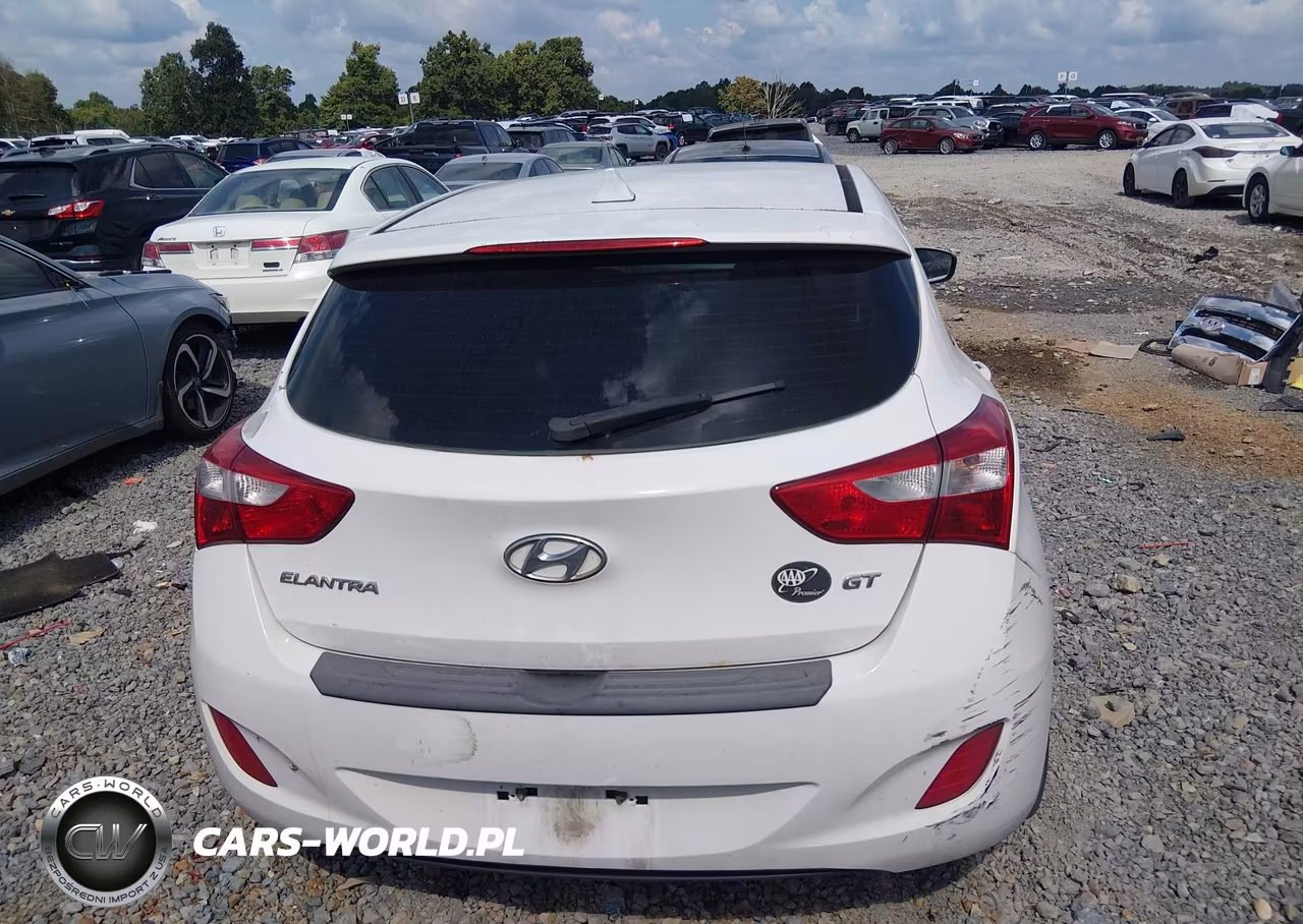 2013 Hyundai Elantra Gt VIN:KMHD35LE6DU080427 - 17
