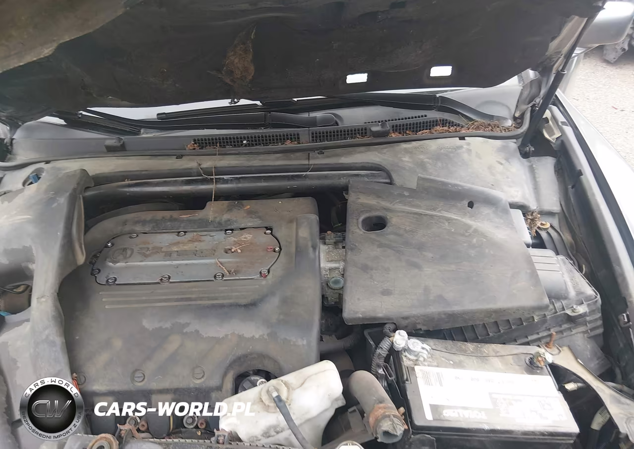2006 Acura Tl VIN:19UUA66276A054491 - 10