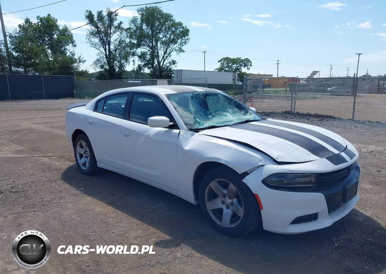 2019 Dodge Charger Police Rwd