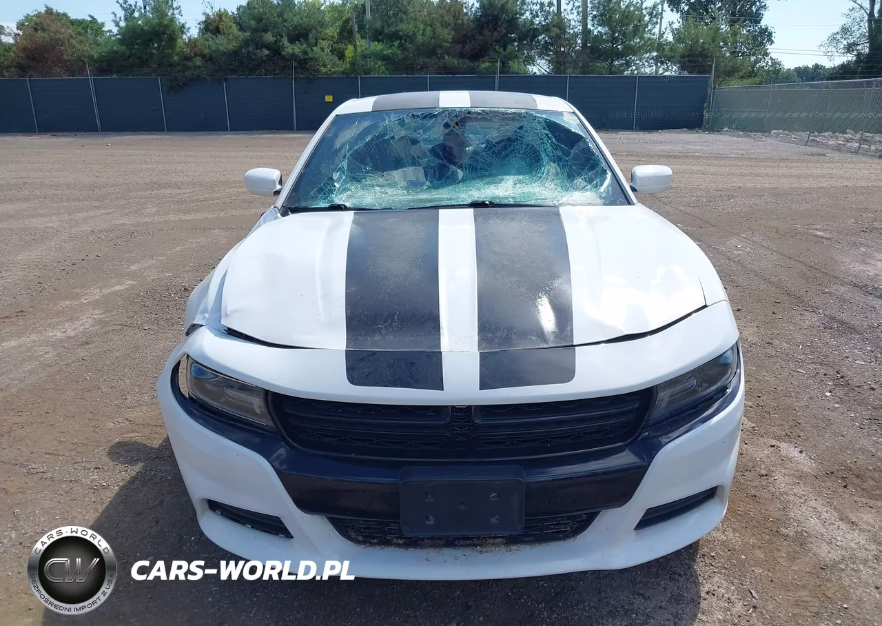 2019 Dodge Charger Police Rwd VIN:2C3CDXAG9KH660174 - 12
