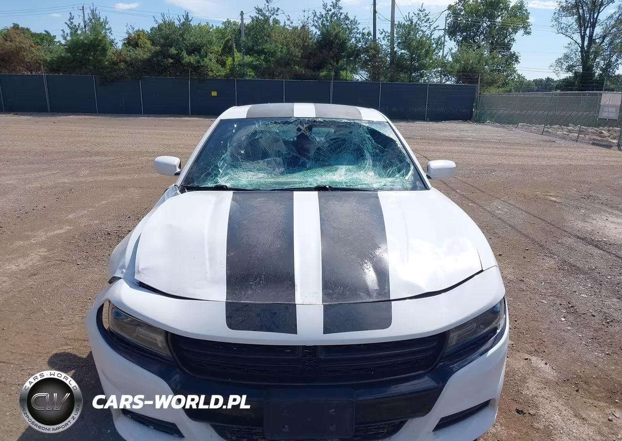 2019 Dodge Charger Police Rwd VIN:2C3CDXAG9KH660174 - 6