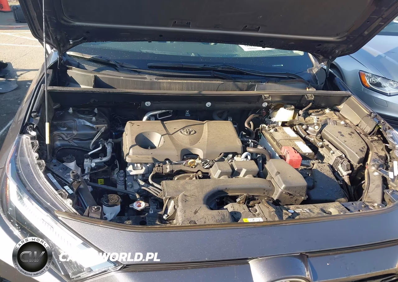 2024 Toyota Rav4 Xle VIN:2T3W1RFV1RW346131 - 10