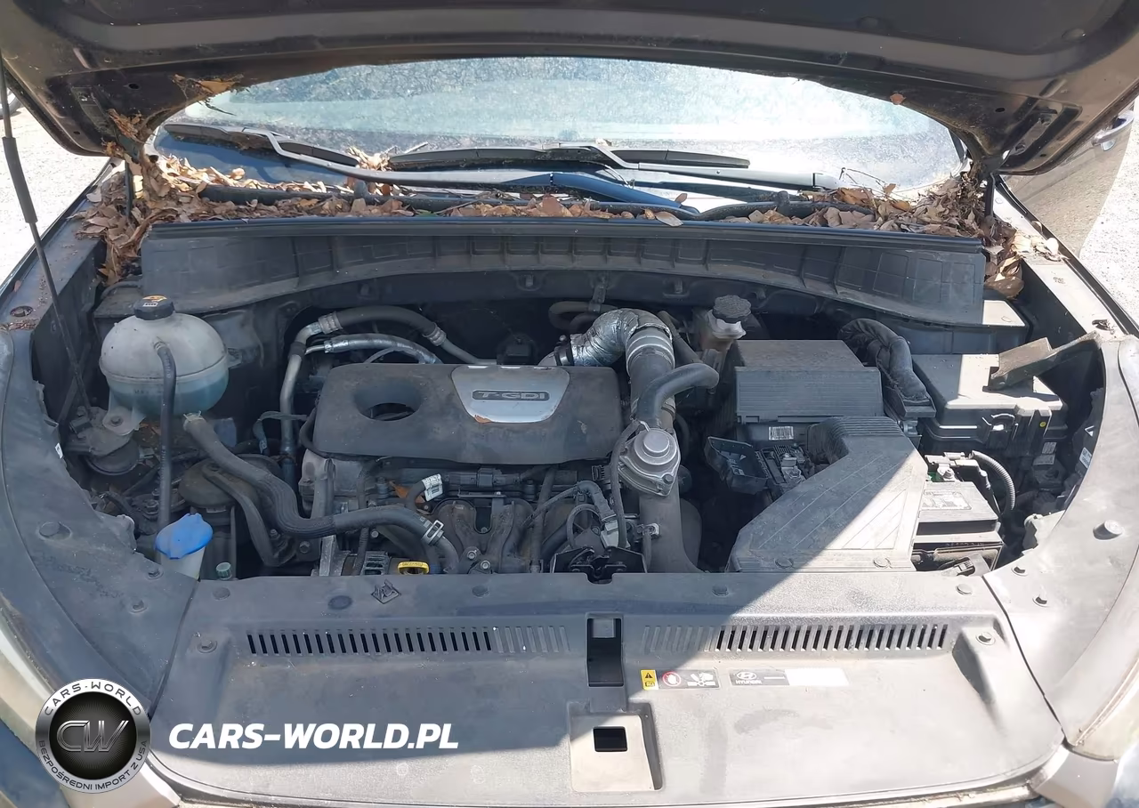 2016 Hyundai Tucson Eco VIN:KM8J33A24GU163939 - 10