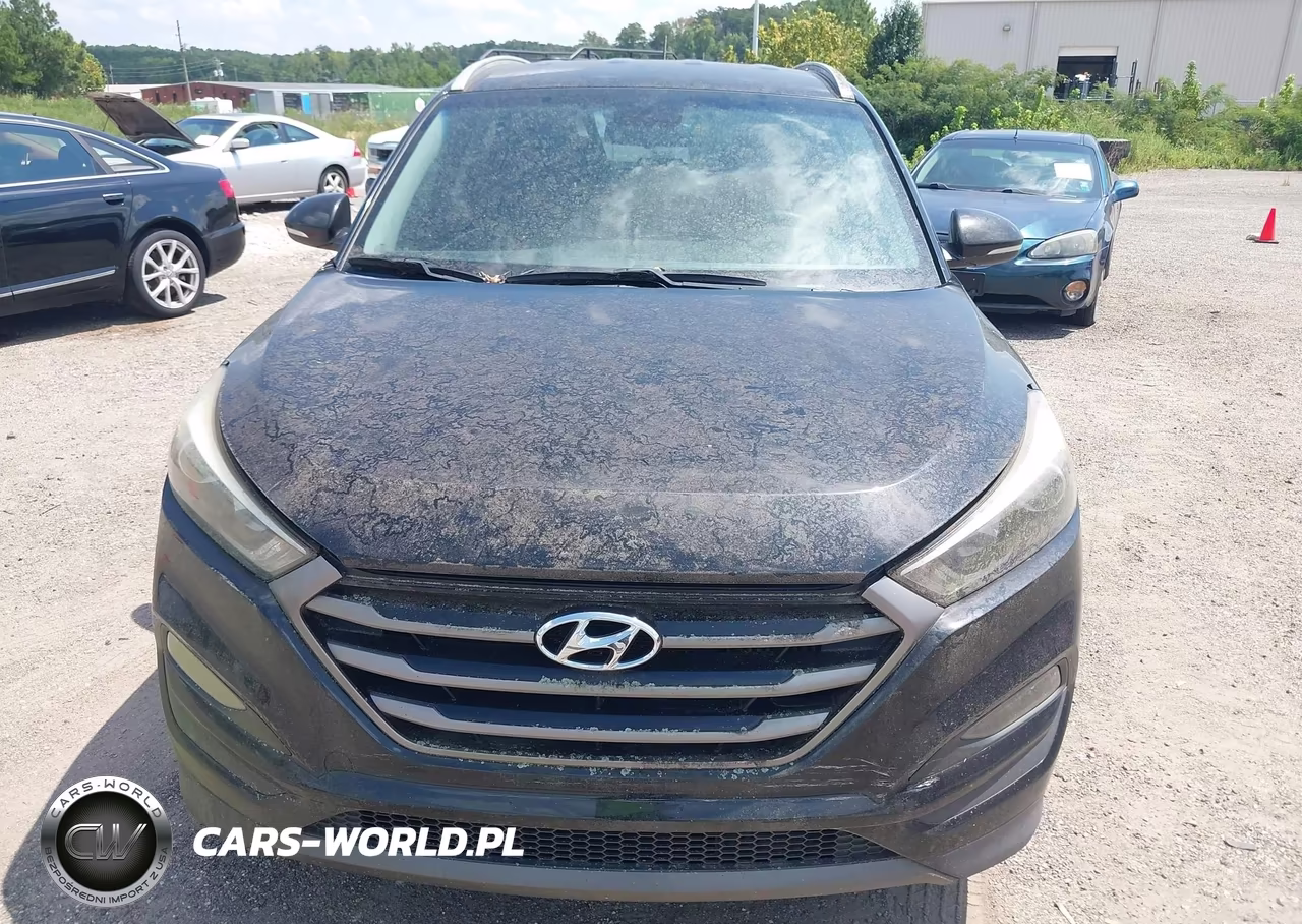 2016 Hyundai Tucson Eco VIN:KM8J33A24GU163939 - 12