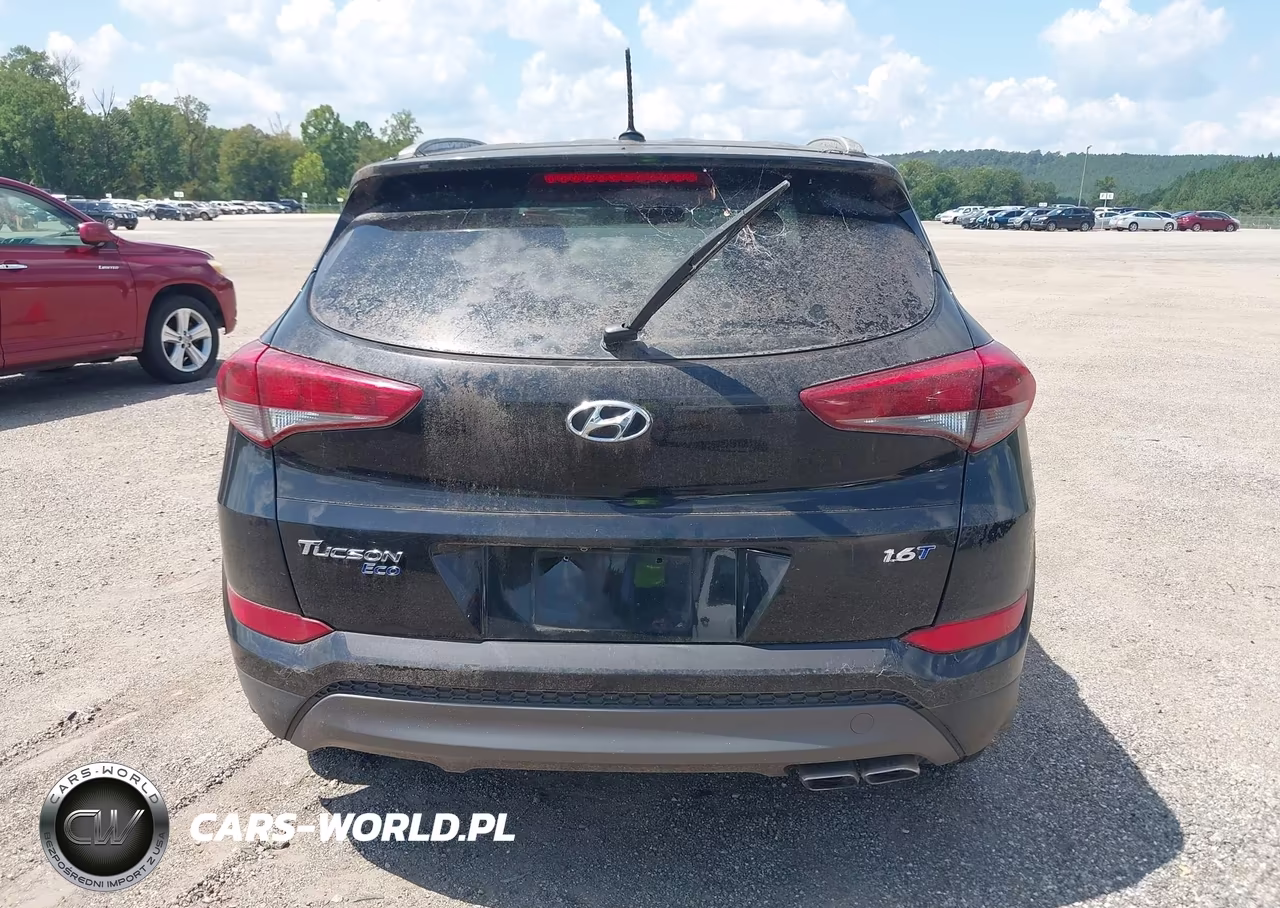 2016 Hyundai Tucson Eco VIN:KM8J33A24GU163939 - 16
