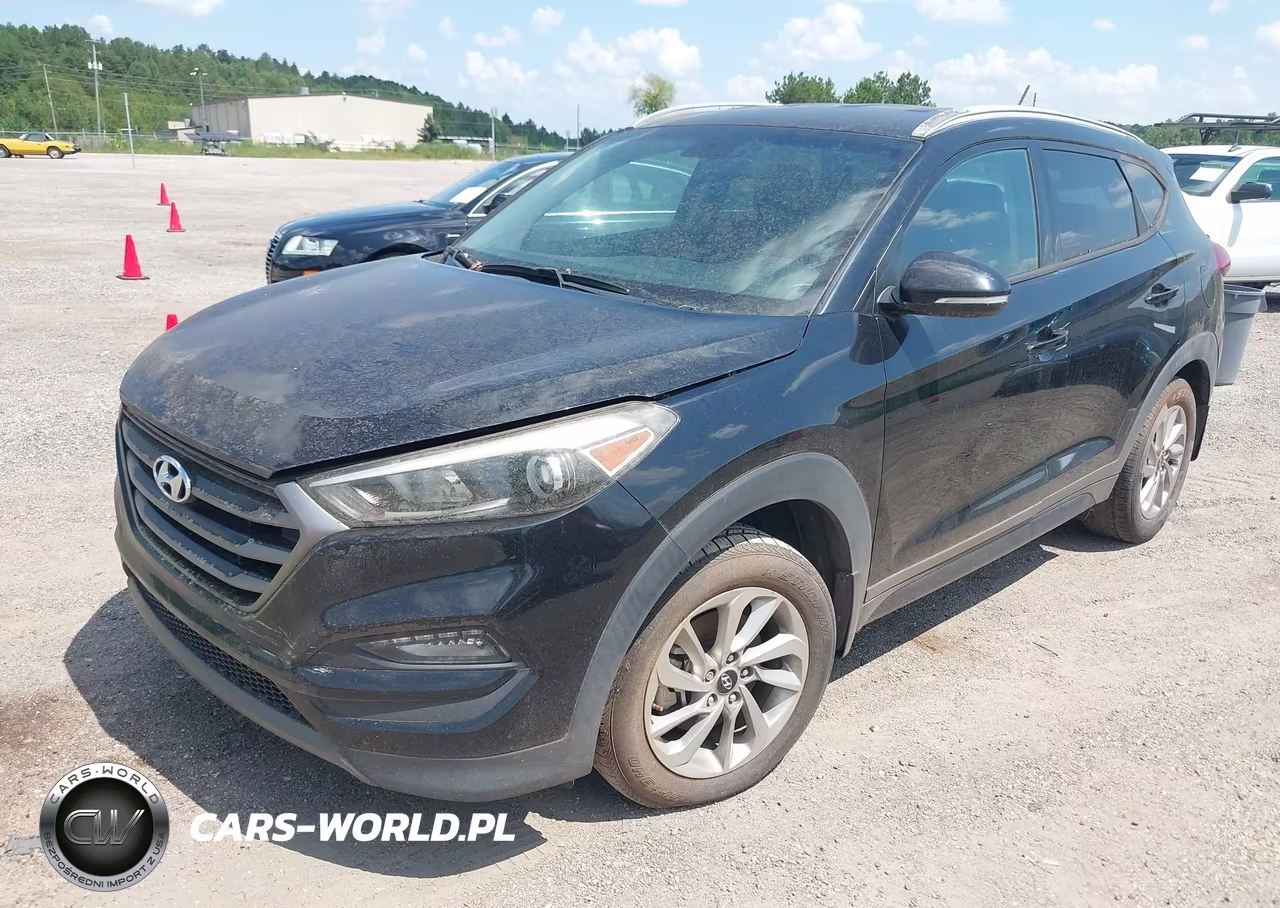 2016 Hyundai Tucson Eco VIN:KM8J33A24GU163939 - 2