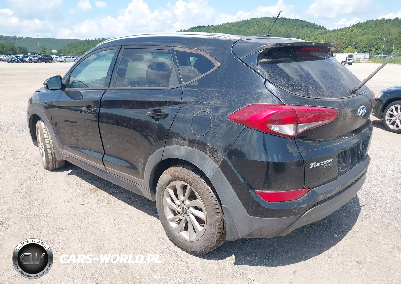 2016 Hyundai Tucson Eco VIN:KM8J33A24GU163939 - 3