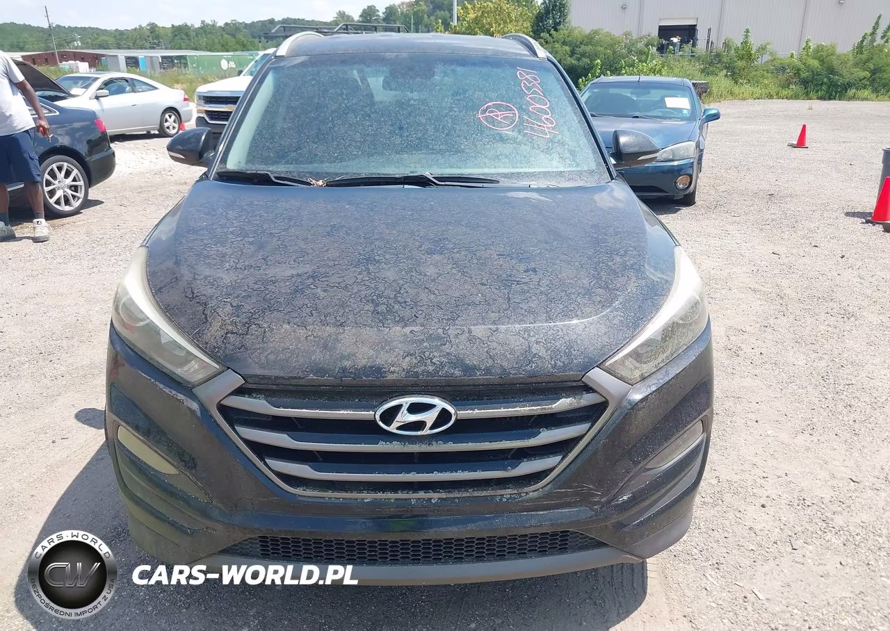 2016 Hyundai Tucson Eco VIN:KM8J33A24GU163939 - 6