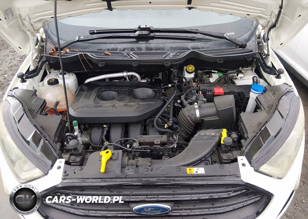 2020 Ford Ecosport Ses VIN:MAJ6S3JL4LC345698 - 10