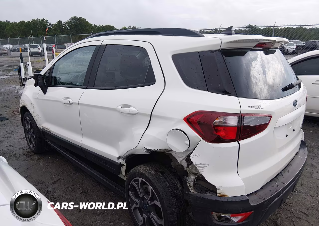 2020 Ford Ecosport Ses VIN:MAJ6S3JL4LC345698 - 14
