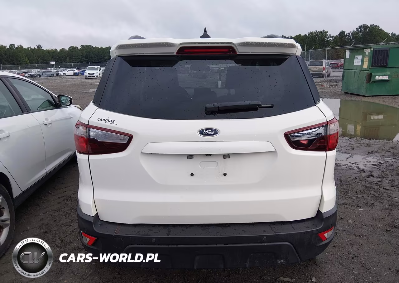 2020 Ford Ecosport Ses VIN:MAJ6S3JL4LC345698 - 16