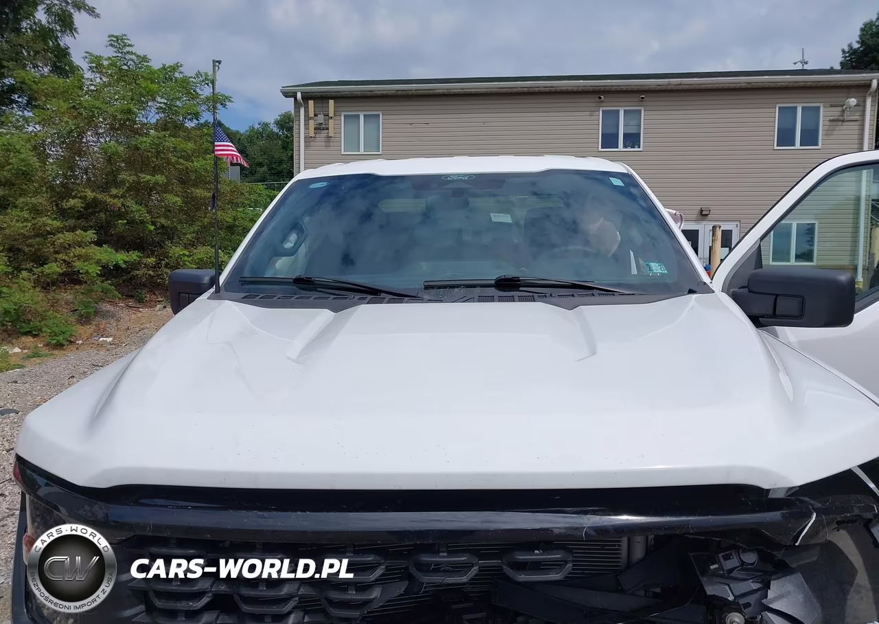 2024 Ford F-150 Stx VIN:1FTEW2LP8RKF75389 - 10