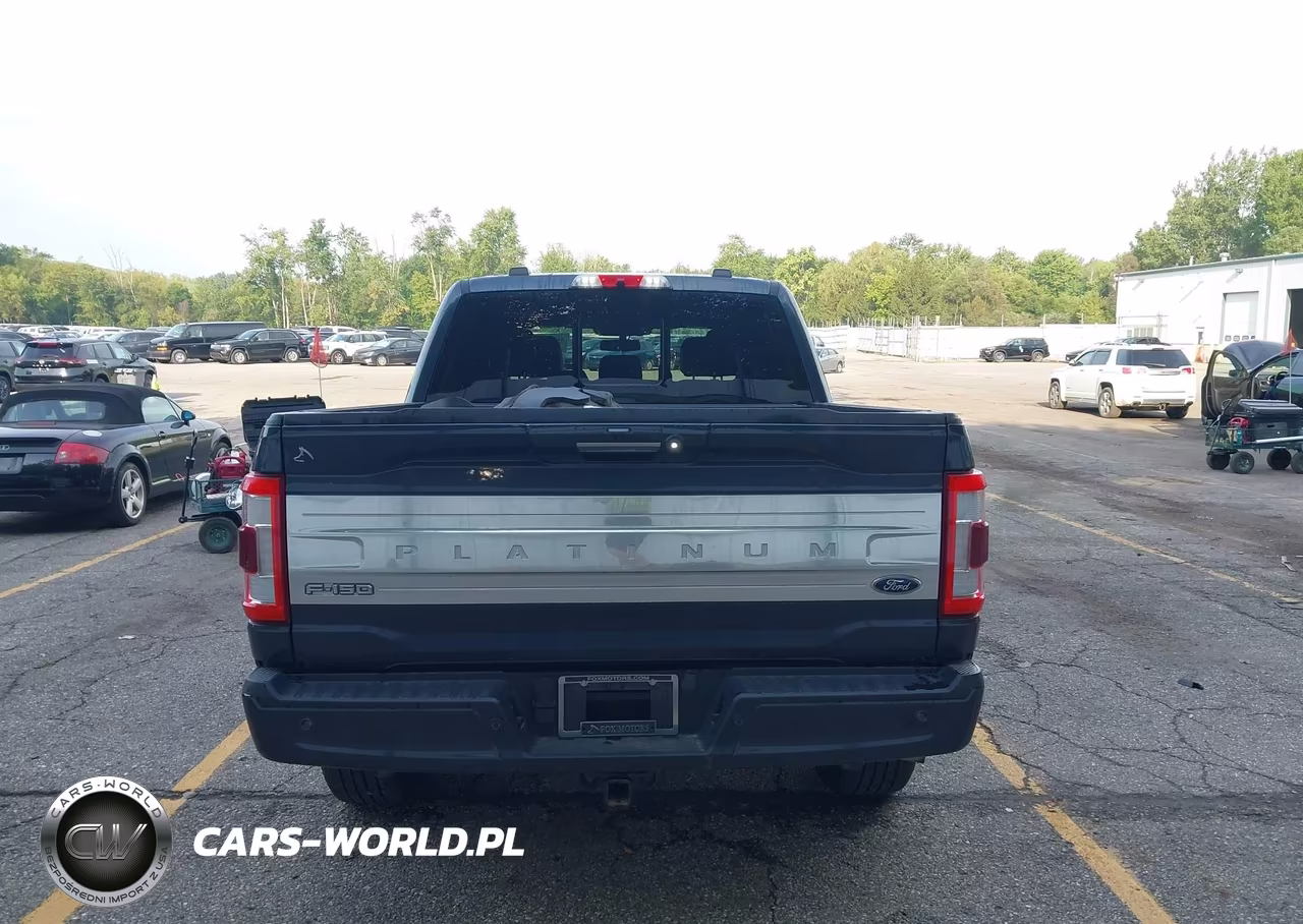 2022 Ford F-150 Platinum VIN:1FTFW1ED7NFC15678 - 16