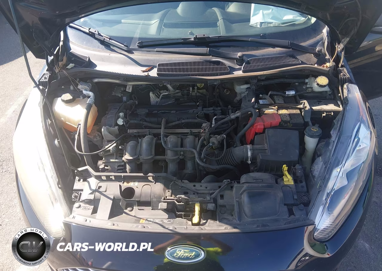 2016 Ford Fiesta Se VIN:3FADP4EJ7GM173162 - 10