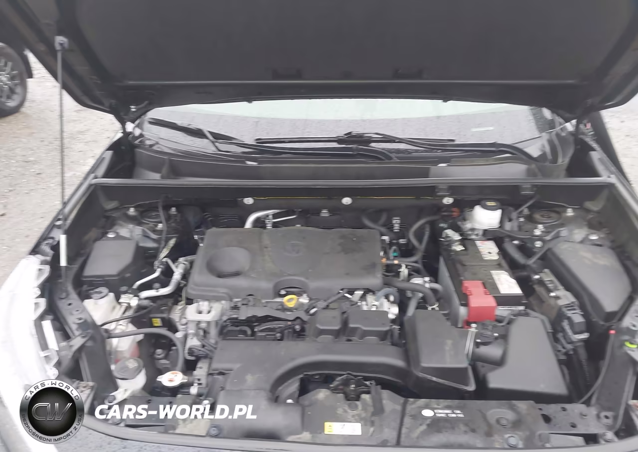 2023 Toyota Rav4 Xle VIN:JTMP1RFV9PD095891 - 10