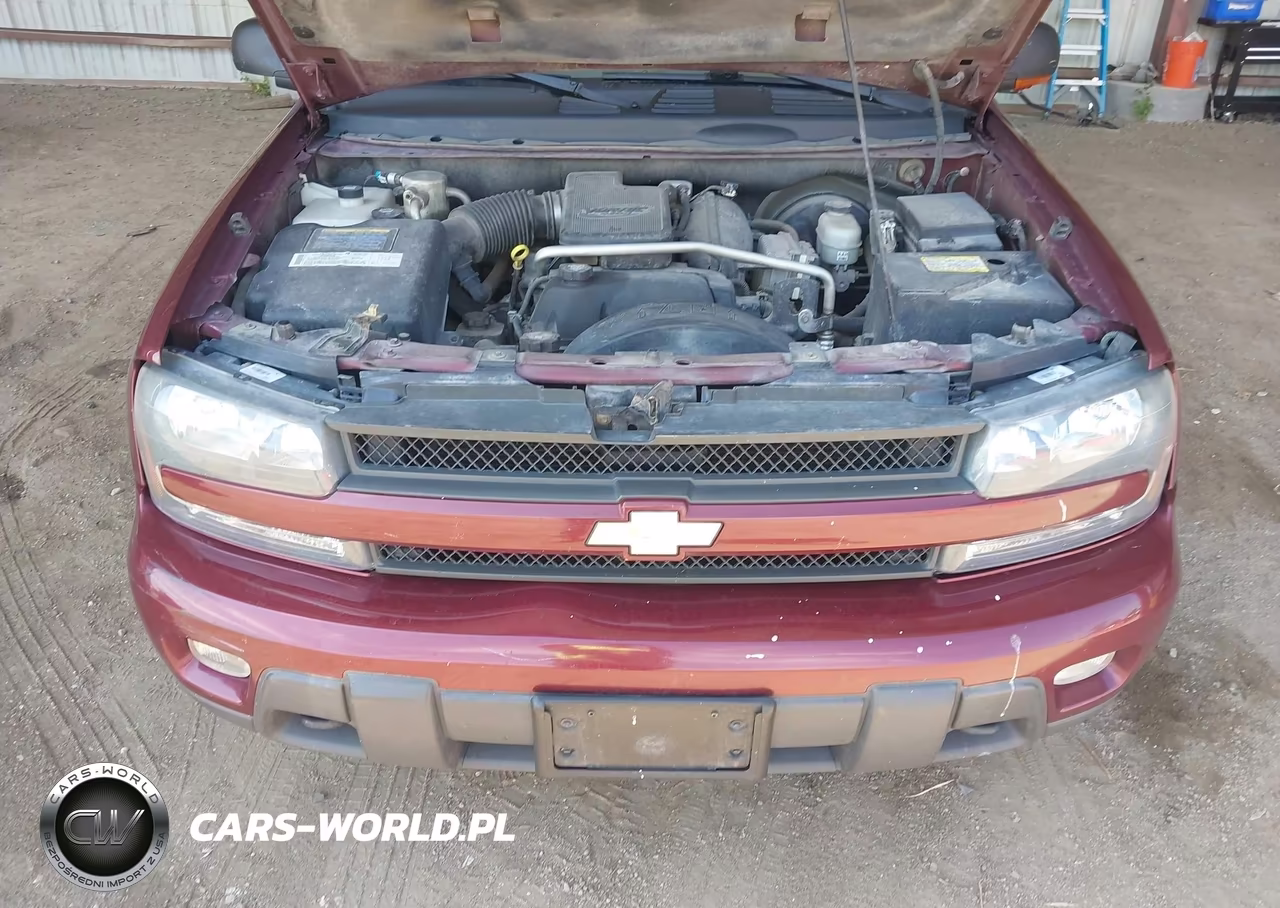 2004 Chevrolet Trailblazer Lt VIN:1GNDT13S942323363 - 10