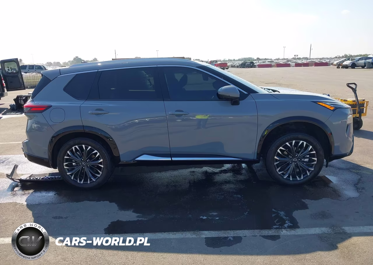 2025 Nissan Rogue Platinum Intelligent Awd VIN:JN8BT3DD0SW304433 - 13