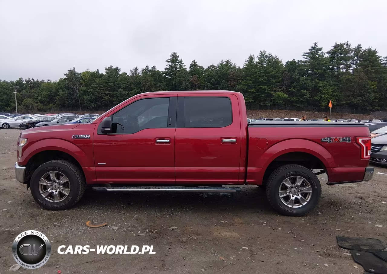 2016 Ford F-150 Xlt VIN:1FTEW1EG5GFD28926 - 15
