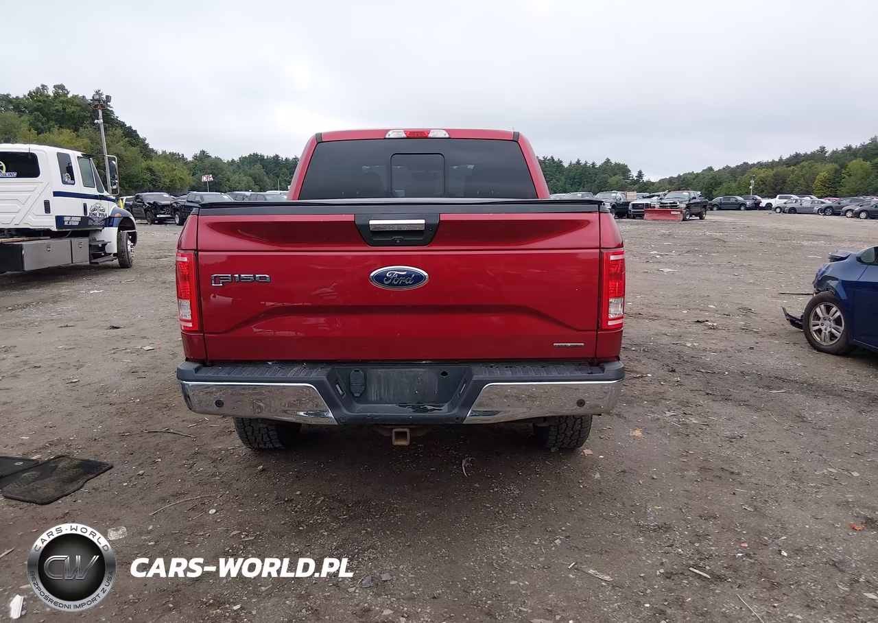2016 Ford F-150 Xlt VIN:1FTEW1EG5GFD28926 - 17