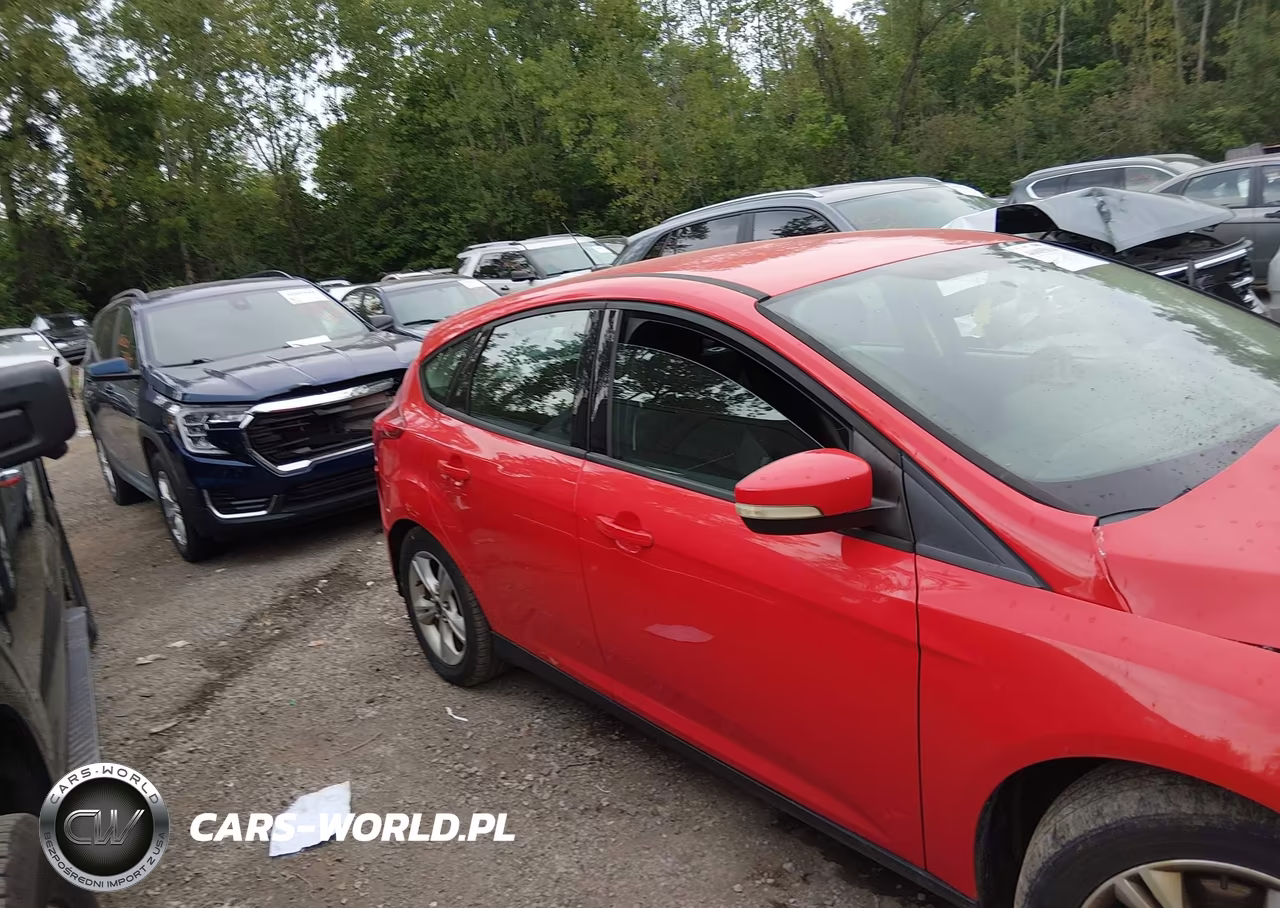 2013 Ford Focus Se VIN:1FADP3K21DL302677 - 13