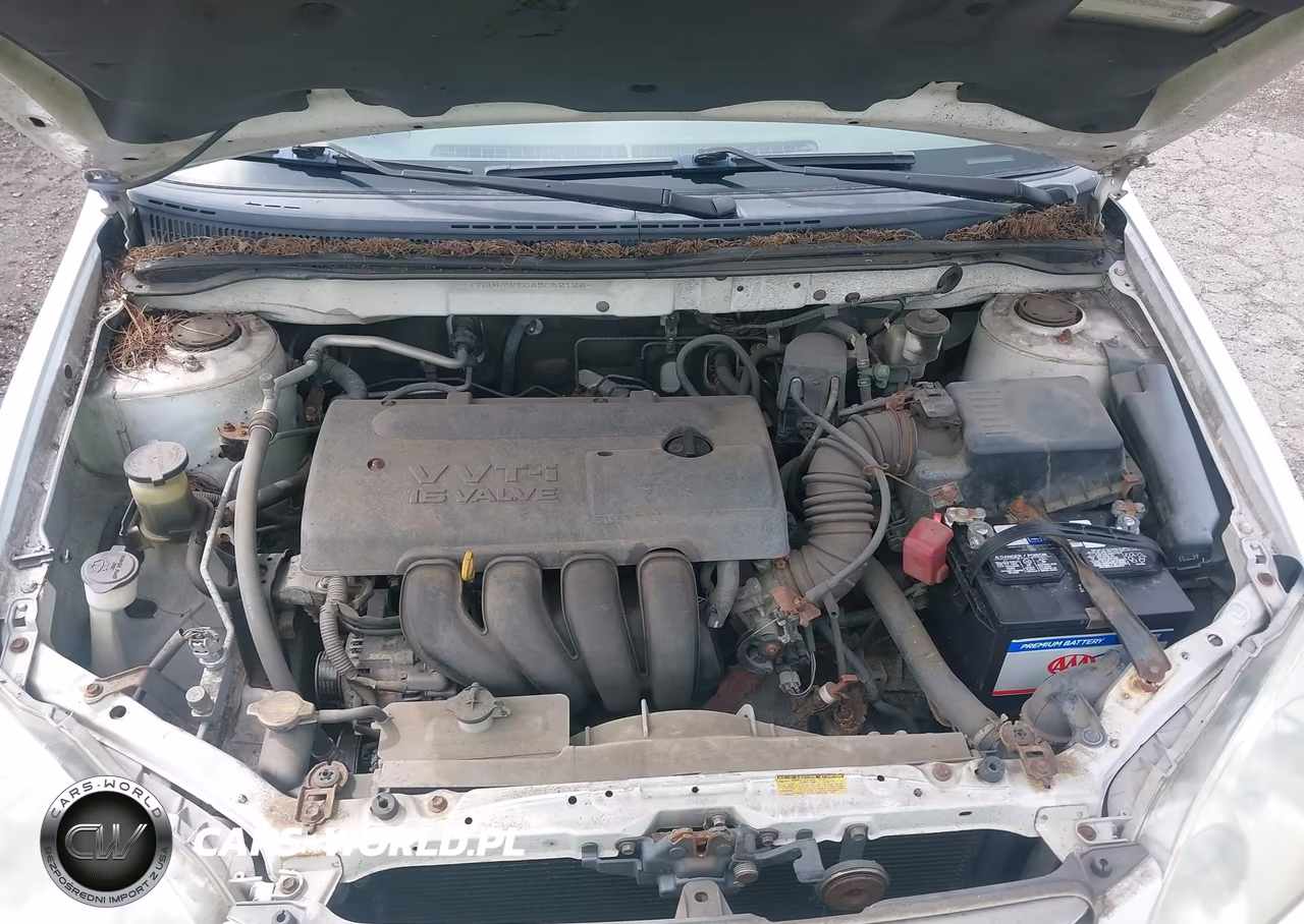 2004 Toyota Corolla Le VIN:JTDBR32E042032126 - 10