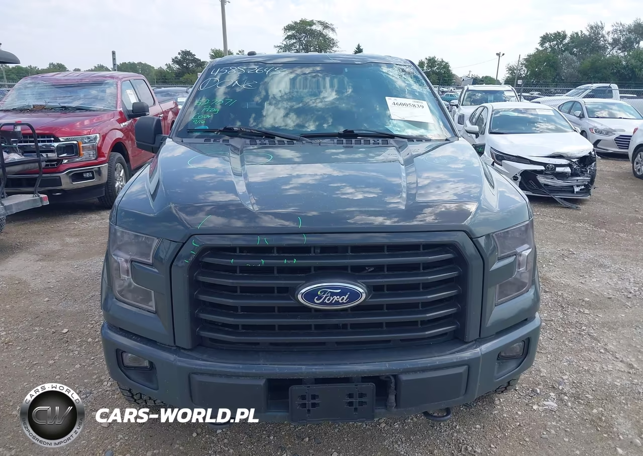 2016 Ford F-150 Xlt VIN:1FTFW1EG5GFD25013 - 12
