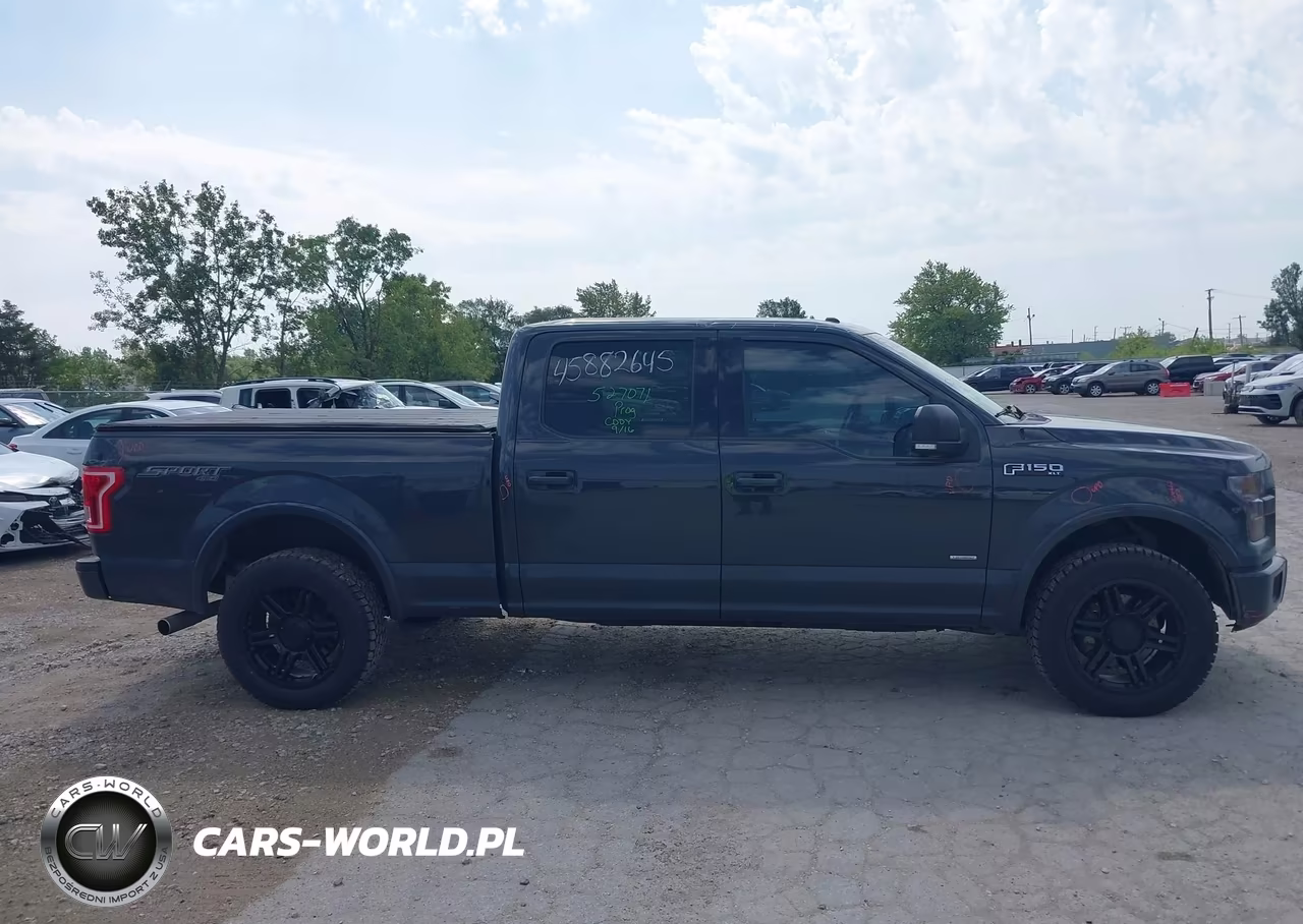 2016 Ford F-150 Xlt VIN:1FTFW1EG5GFD25013 - 13