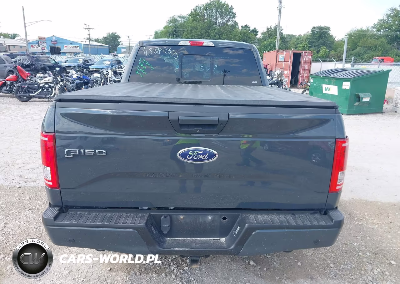 2016 Ford F-150 Xlt VIN:1FTFW1EG5GFD25013 - 16