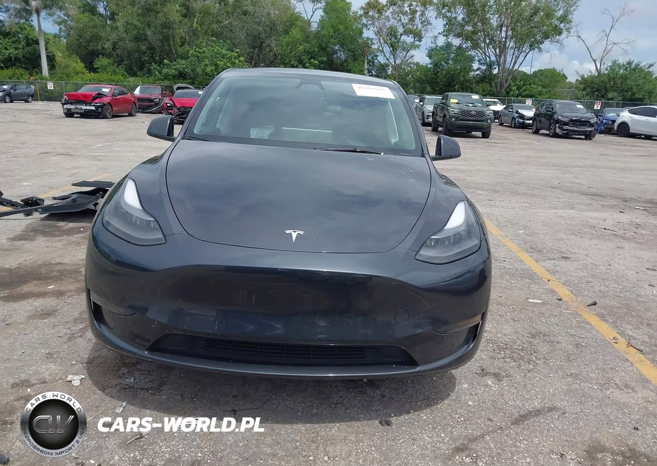 2024 Tesla Model Y Long Range Single Motor Rear-Wheel Drive-Rwd VIN:7SAYGDED5RF091799 - 11
