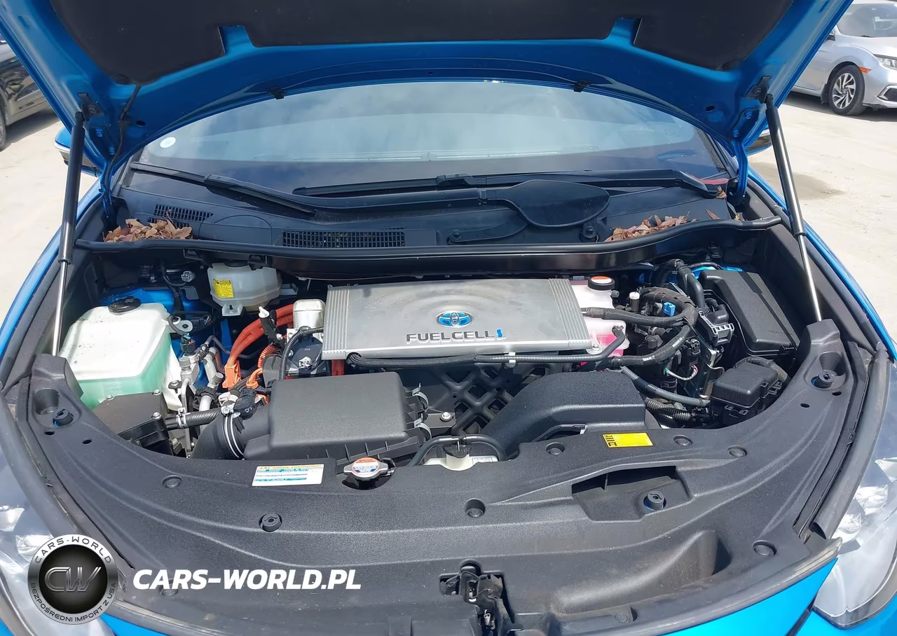 2018 Toyota Mirai VIN:JTDBVRBD3JA004246 - 10