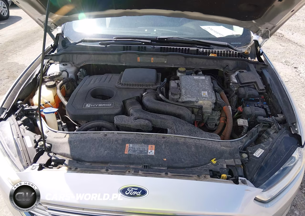 2016 Ford Fusion Hybrid Se VIN:3FA6P0LU4GR127192 - 10