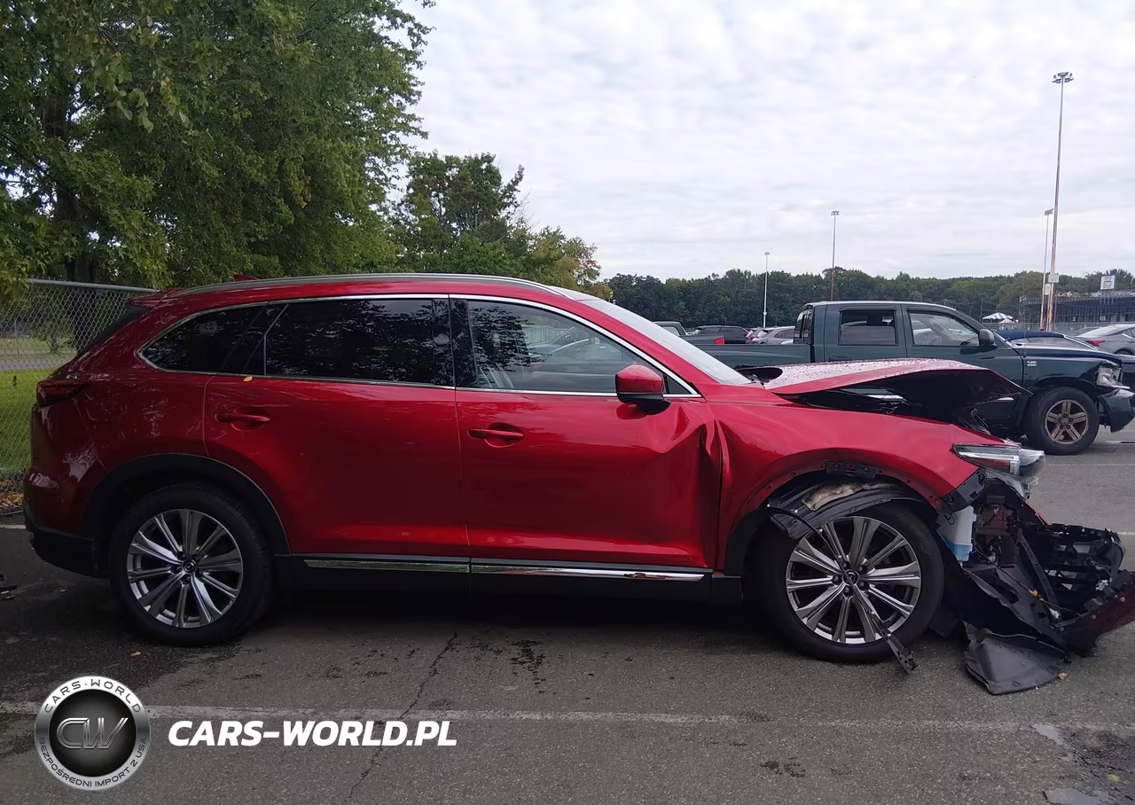 2021 Mazda Cx-9 Signature VIN:JM3TCBEY8M0536321 - 13