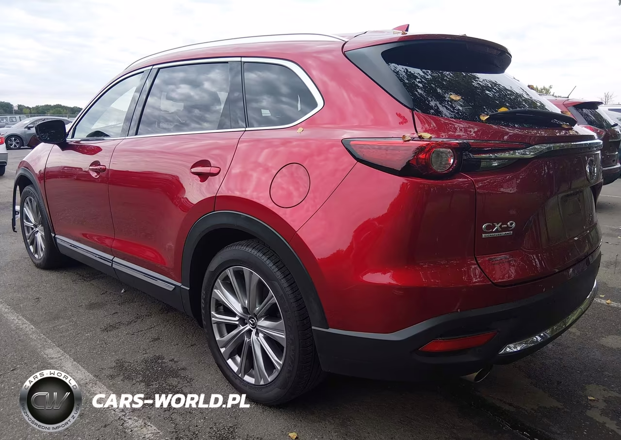 2021 Mazda Cx-9 Signature VIN:JM3TCBEY8M0536321 - 3