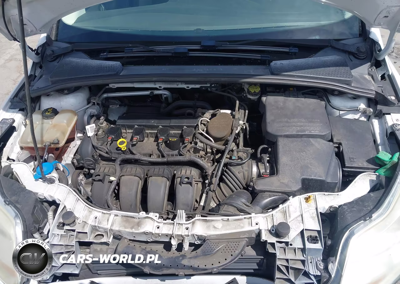 2014 Ford Focus Se VIN:1FADP3K21EL461457 - 10