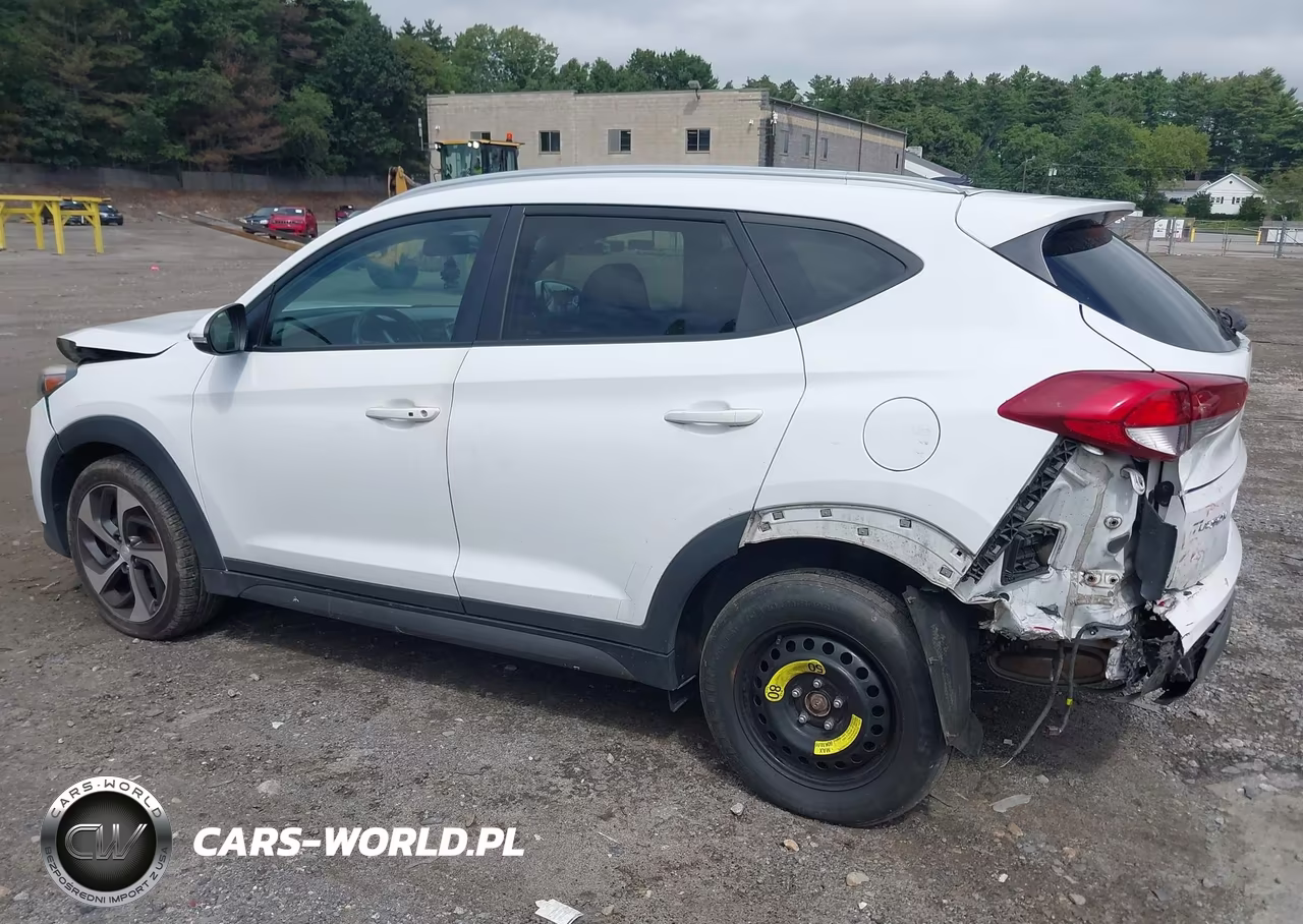 2016 Hyundai Tucson Sport VIN:KM8J3CA20GU125401 - 14
