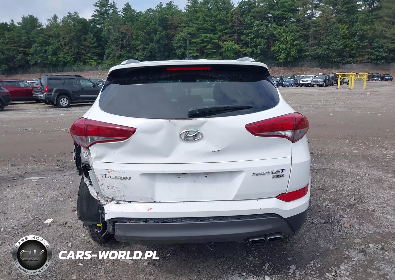 2016 Hyundai Tucson Sport VIN:KM8J3CA20GU125401 - 16