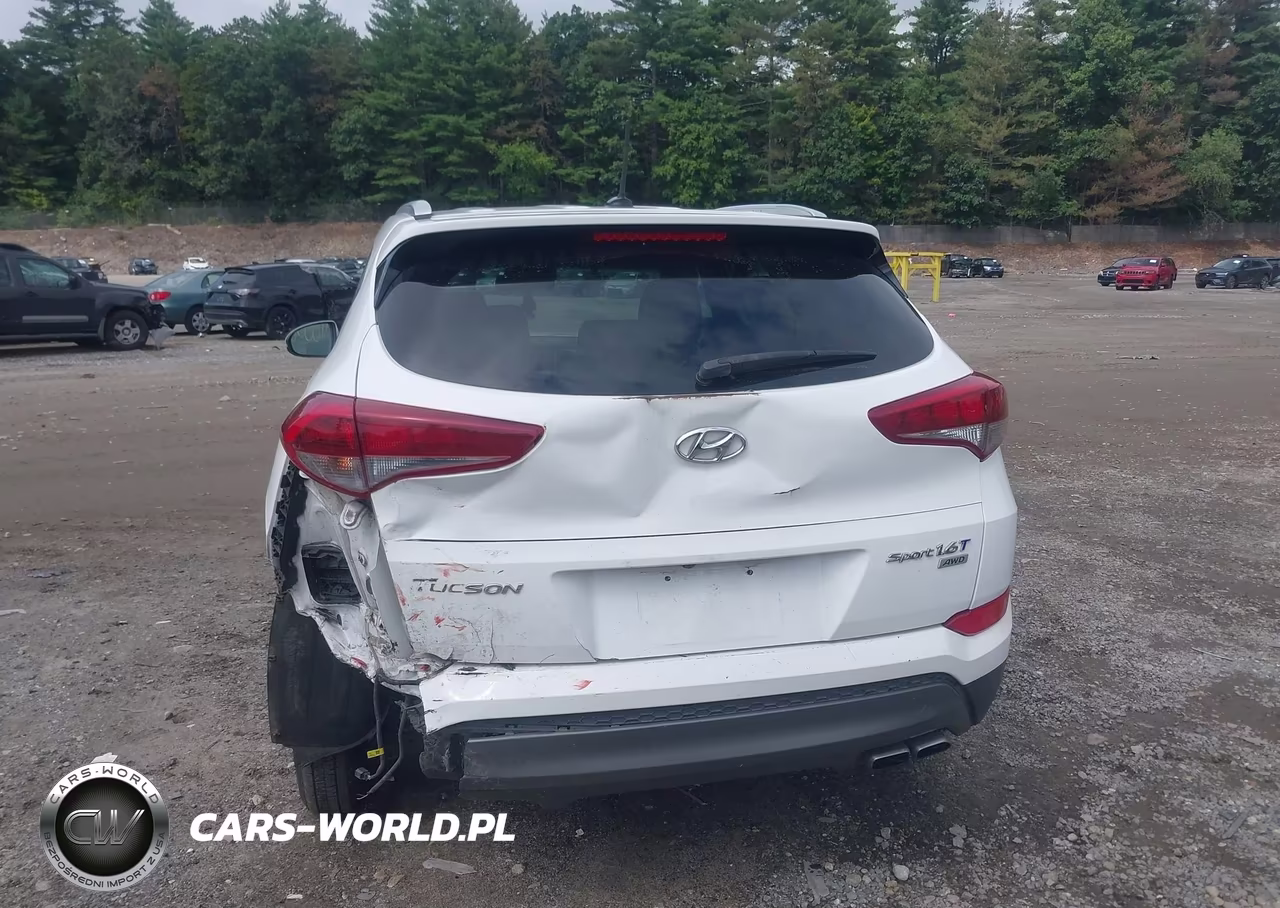 2016 Hyundai Tucson Sport VIN:KM8J3CA20GU125401 - 17