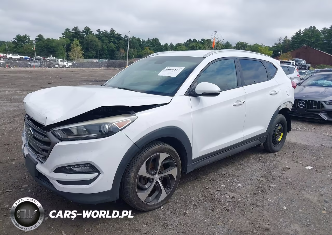 2016 Hyundai Tucson Sport VIN:KM8J3CA20GU125401 - 2