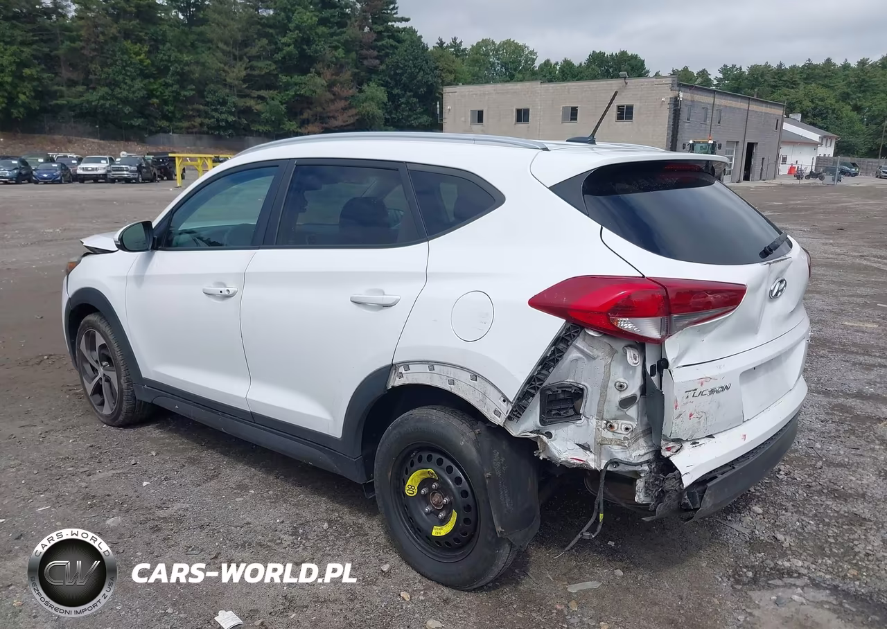 2016 Hyundai Tucson Sport VIN:KM8J3CA20GU125401 - 3