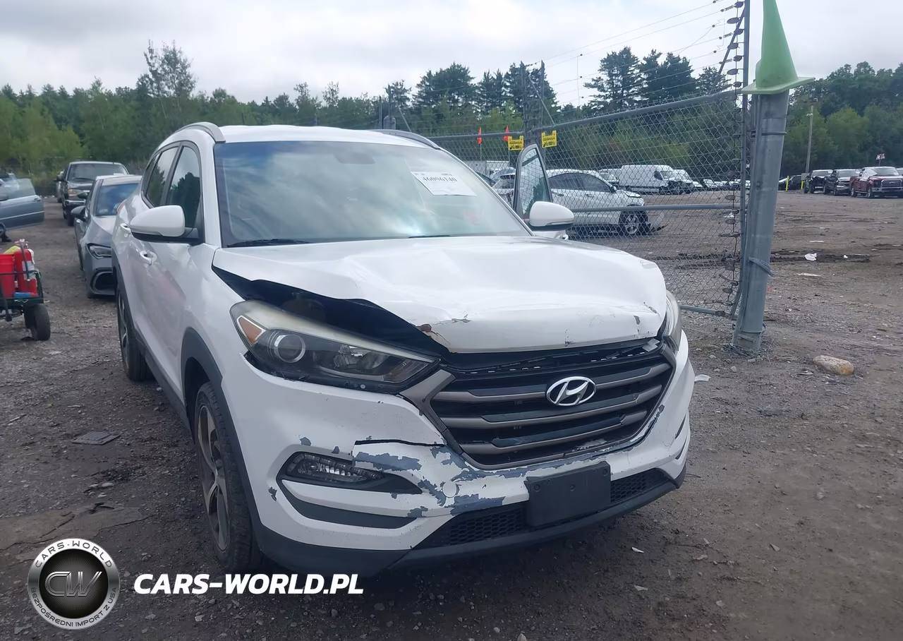 2016 Hyundai Tucson Sport VIN:KM8J3CA20GU125401 - 6