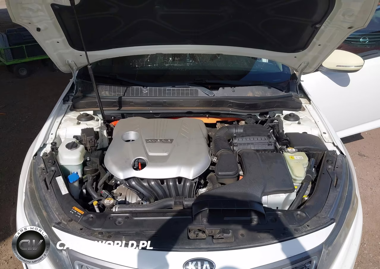 2015 Kia Optima Hybrid VIN:KNAGM4AD1F5083880 - 10