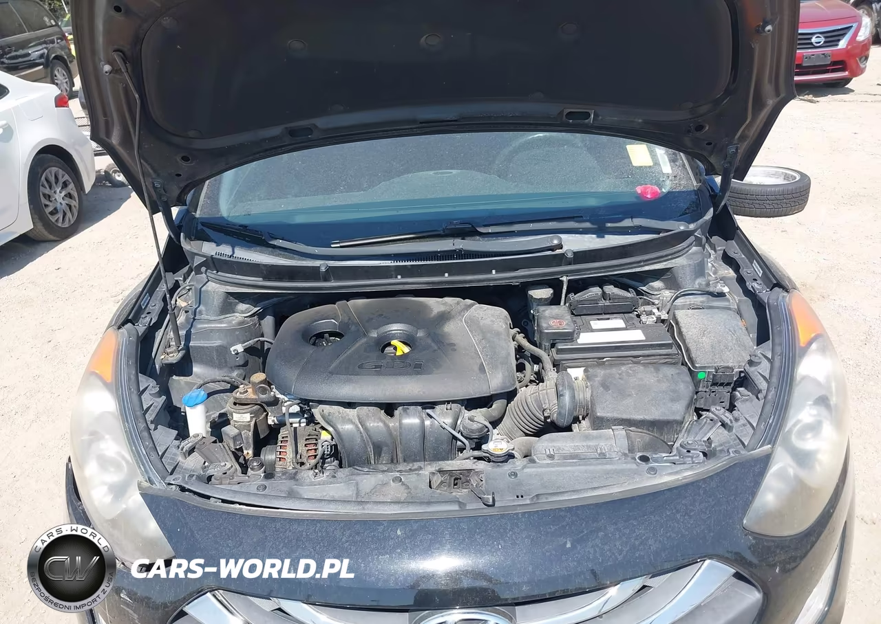 2014 Hyundai Elantra Gt VIN:KMHD35LHXEU195205 - 10