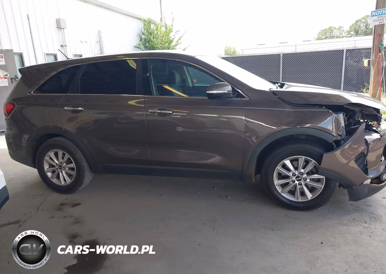 2020 Kia Sorento 2.4L Lx VIN:5XYPG4A34LG648482 - 13