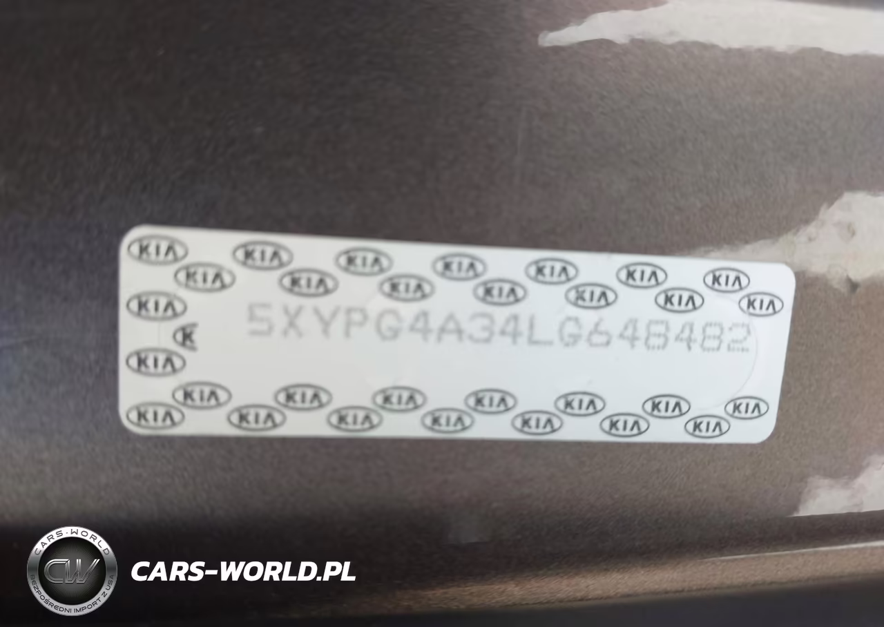 2020 Kia Sorento 2.4L Lx VIN:5XYPG4A34LG648482 - 9