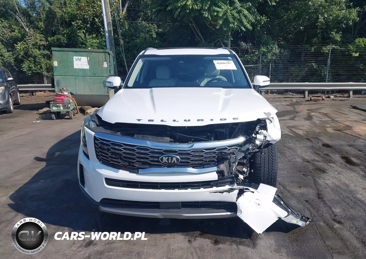 2020 Kia Telluride S VIN:5XYP64HC2LG064266 - 13