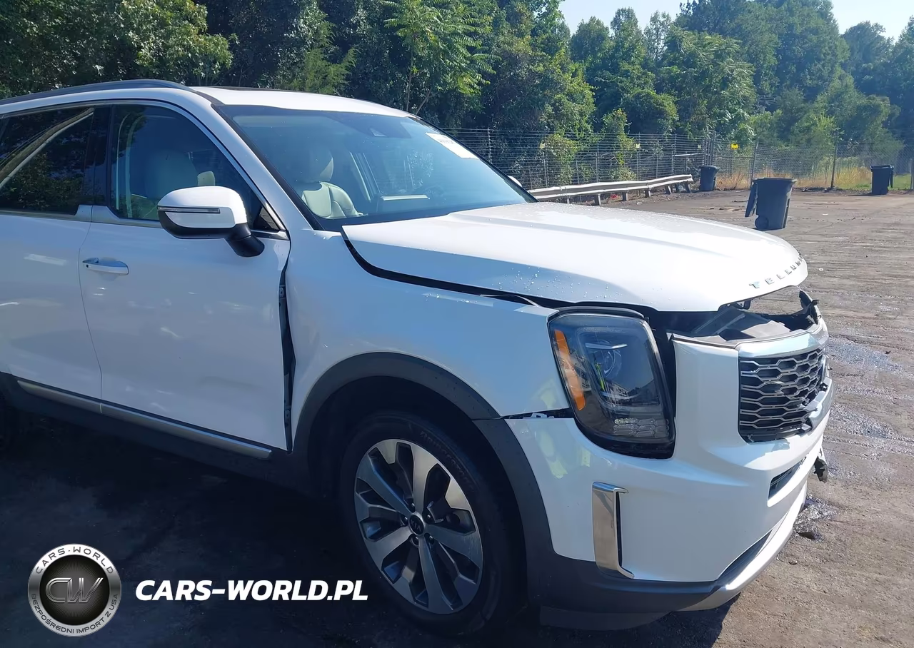 2020 Kia Telluride S VIN:5XYP64HC2LG064266 - 18