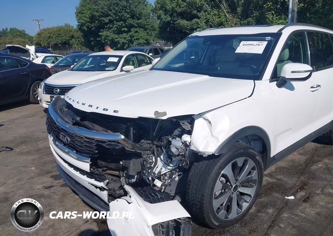 2020 Kia Telluride S VIN:5XYP64HC2LG064266 - 19