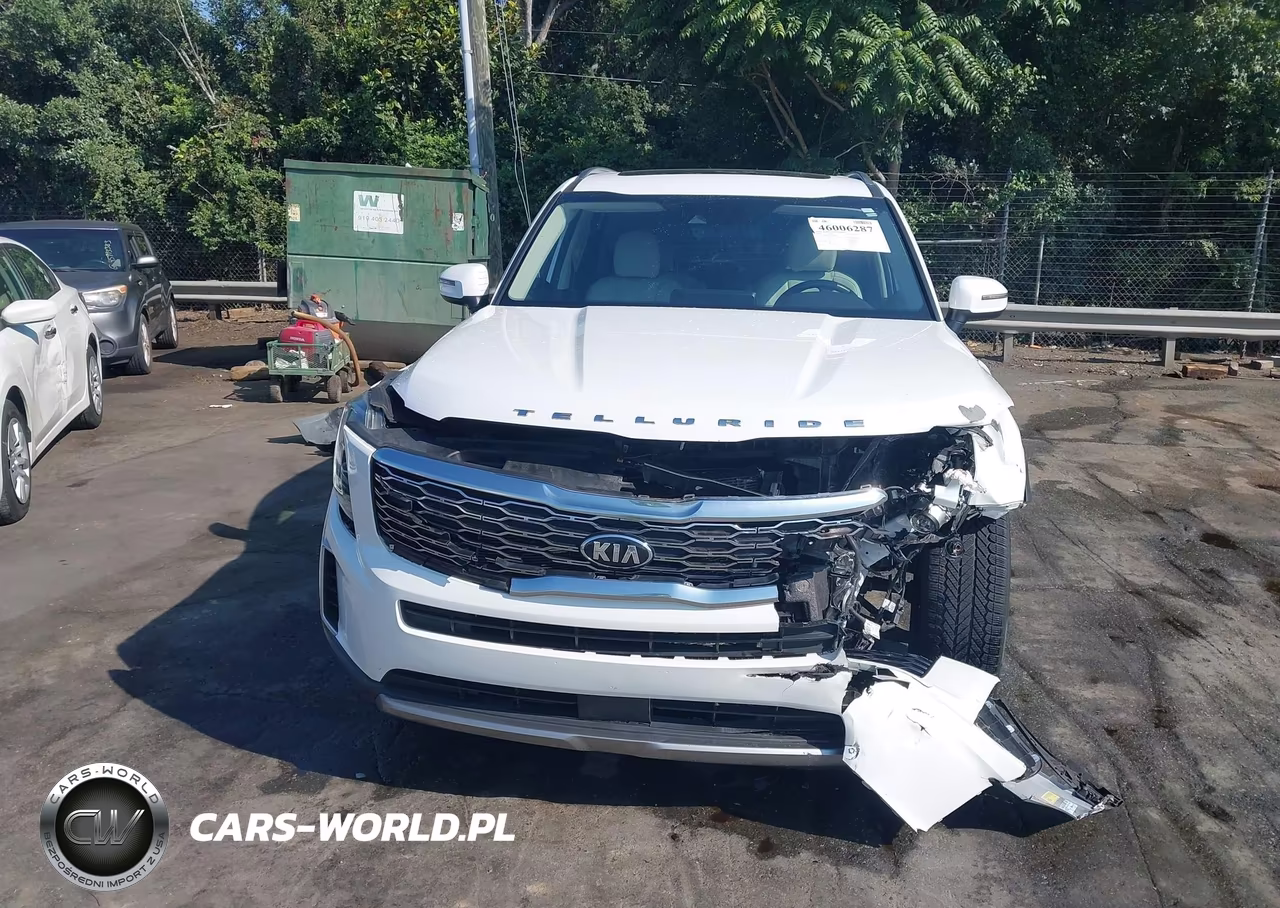 2020 Kia Telluride S VIN:5XYP64HC2LG064266 - 6
