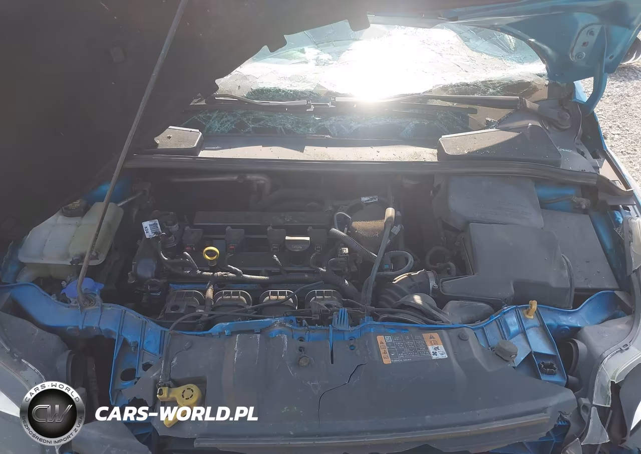 2014 Ford Focus Se VIN:1FADP3F2XEL404958 - 10